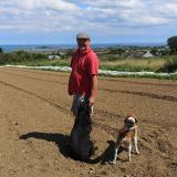 D & P Byrne Organics