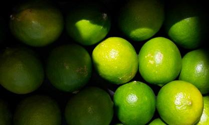 EcoLogic The Organic Food Store