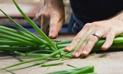 Forest Avenue Grocer