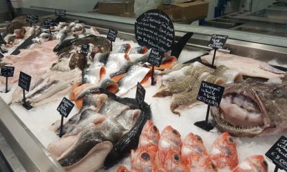 Reid’s Fish Market