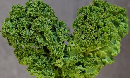 Small Changes Wholefoods Store