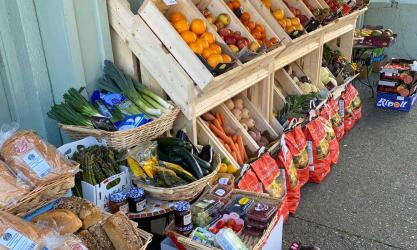 The Punnet Glasthule