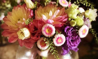 Twig and Berries Florist