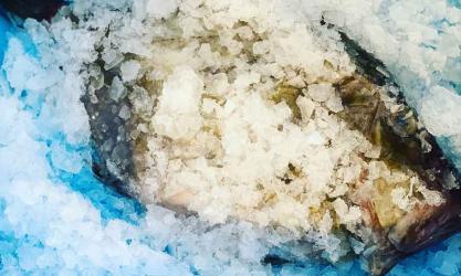 Sustainable Seafood Ireland