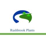 Rushbrook Plants