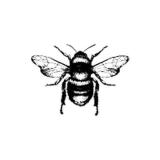 Millbee Studio