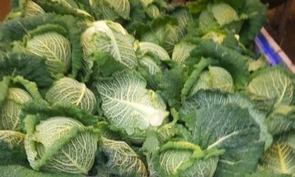 Beechlawn Organic Farm