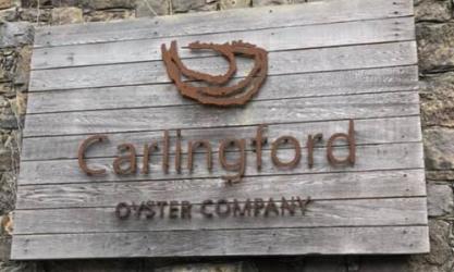 Carlingford Oyster Company