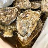 Carlingford Oyster Company
