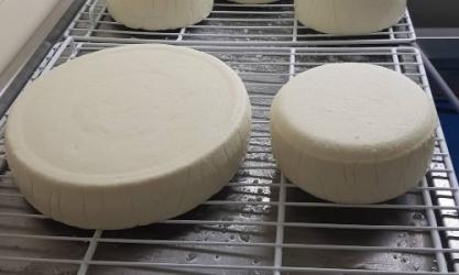 Galway Goat Cheese