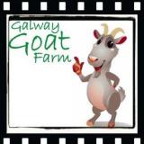 Galway Goat Cheese