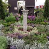 Herbs on Thyme