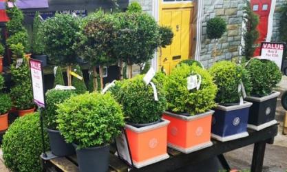 Horkans Garden Centre