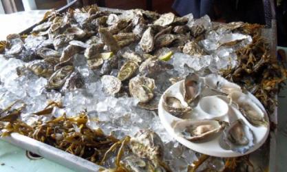 Wild Atlantic Oyster