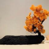 Peat Art Designs