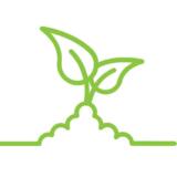 Little Green Growers