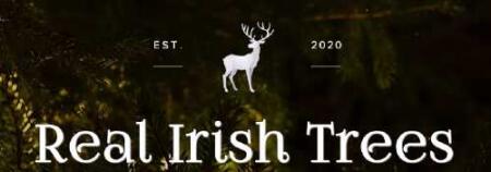 A Real Irish Christmas Tree
