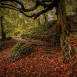 Paul Egan Photography