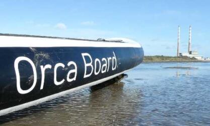 Orca Board