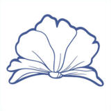Pure Linen