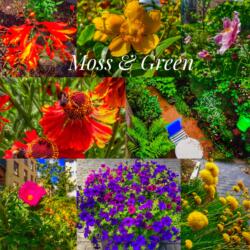 Moss&Green Garden Design