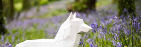 https://shoplocal.irish/assets/uploads/2022/12/Paper-Wolf-450x150.jpg